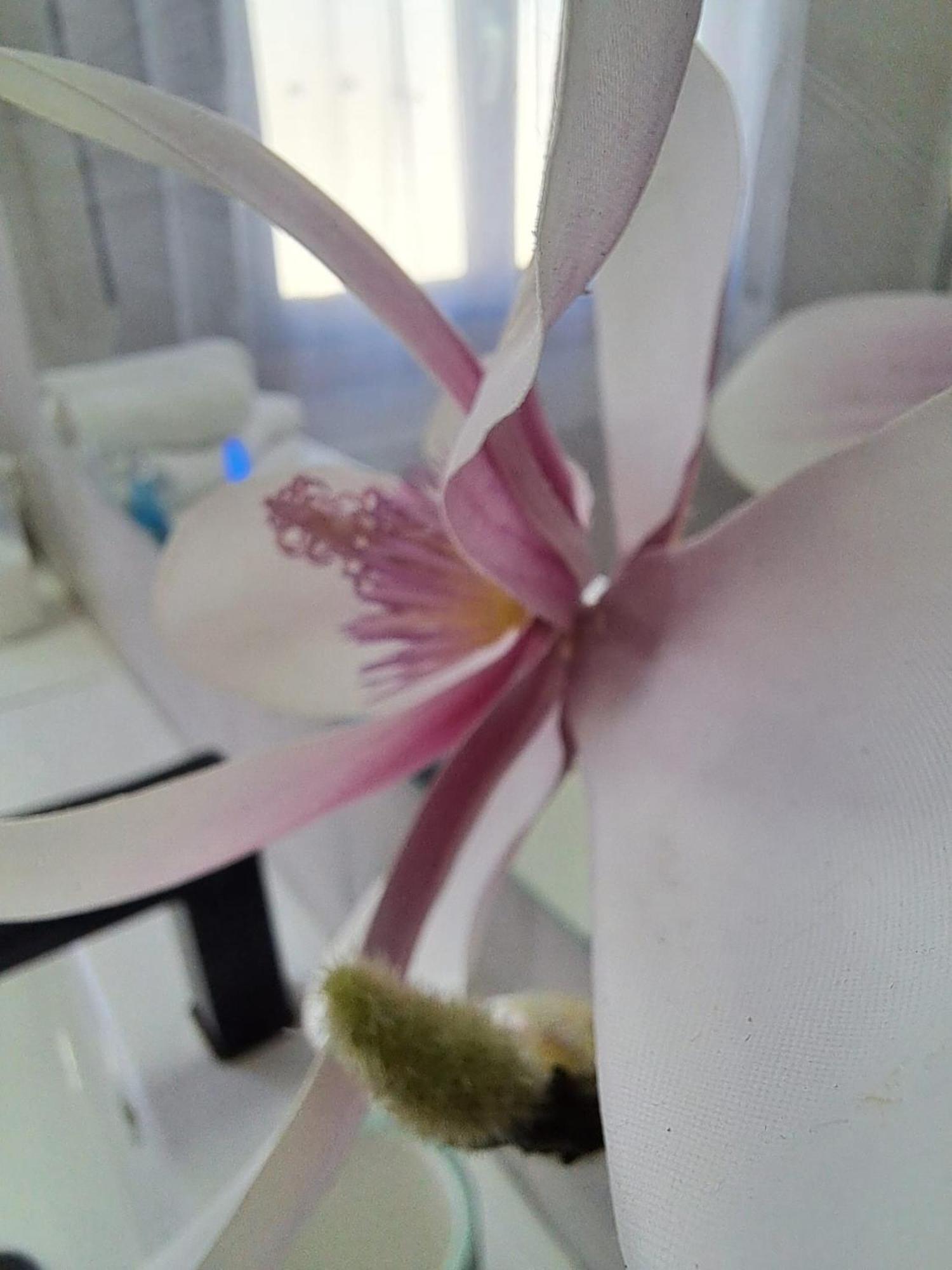 Mi Casita Del Norte Mogro Dış mekan fotoğraf